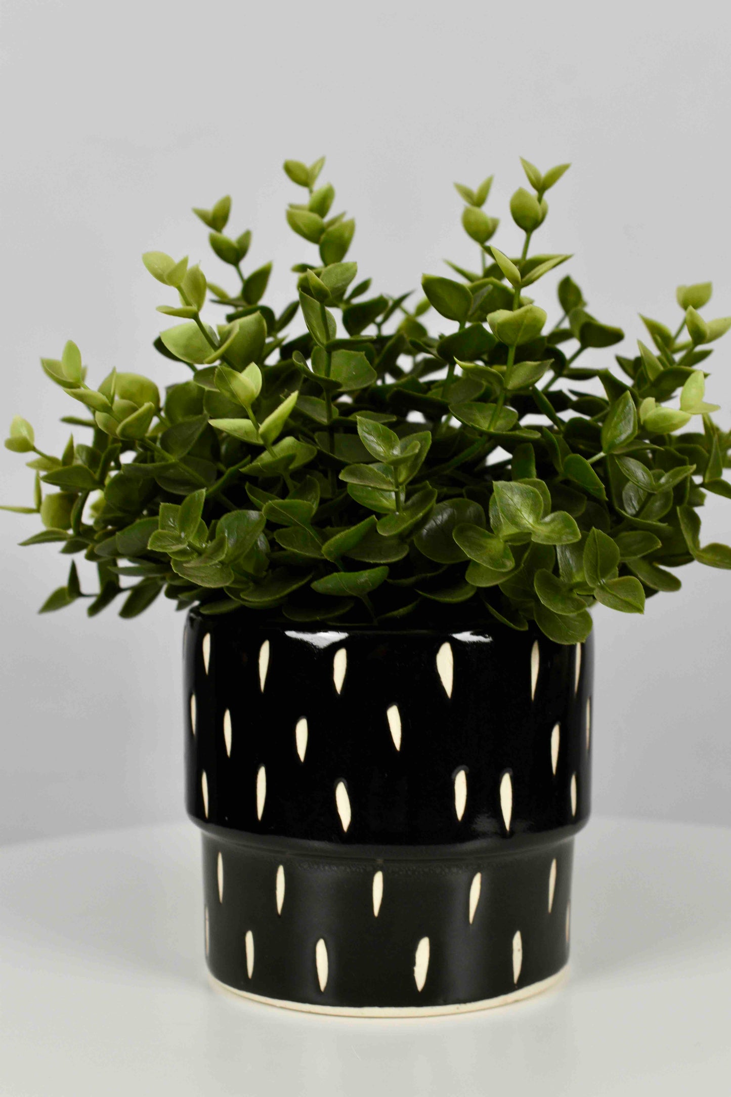 Urban Noir Indoor Planter - Contemporary Expressions Collection