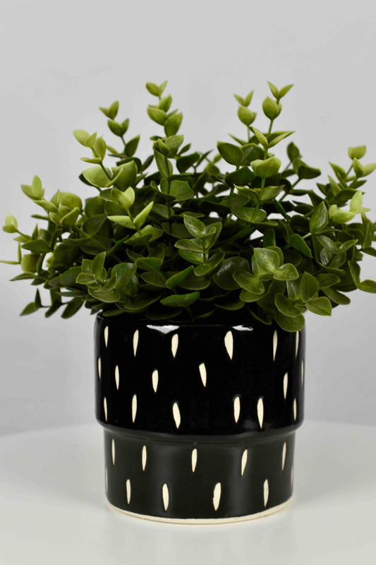 Urban Noir Indoor Planter - Contemporary Expressions Collection