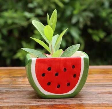 Watermelon Mini Planter - Contemporary Expressions Collection
